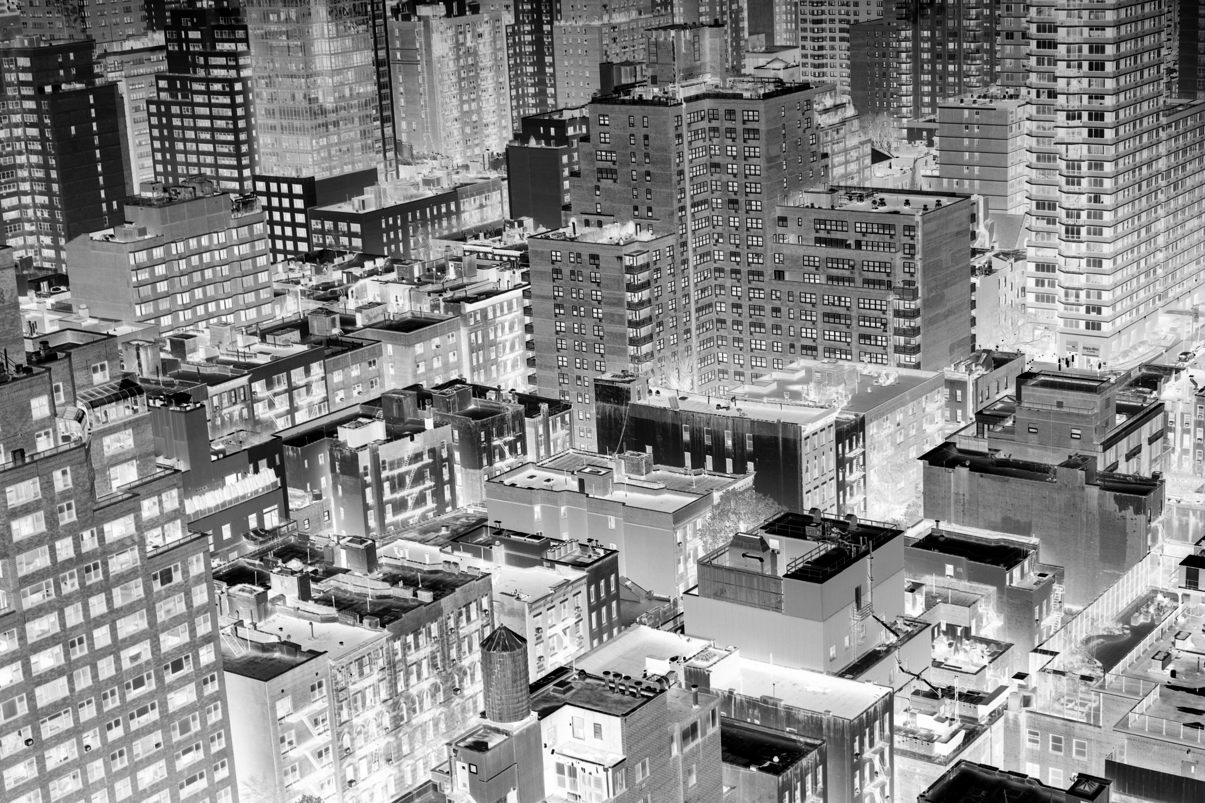 The Shadow Pandemic: Domestic Violence and COVID-19