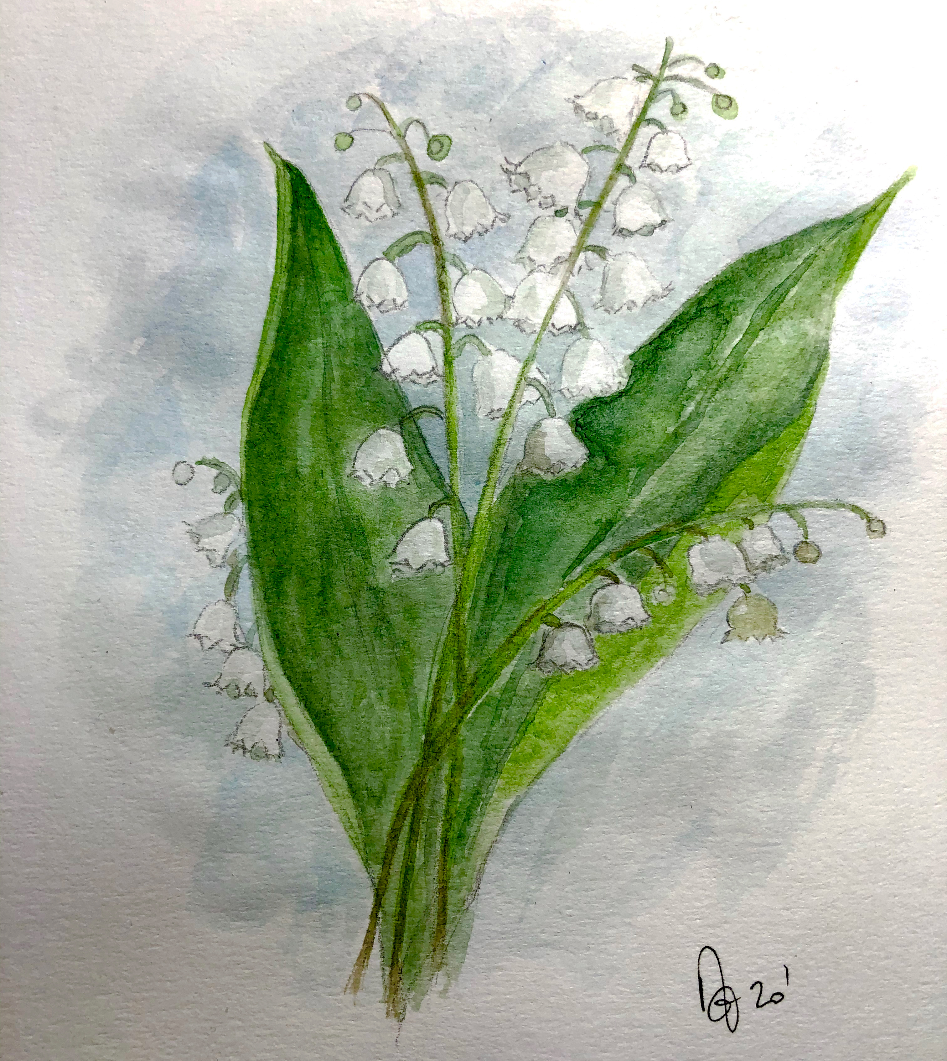 image0